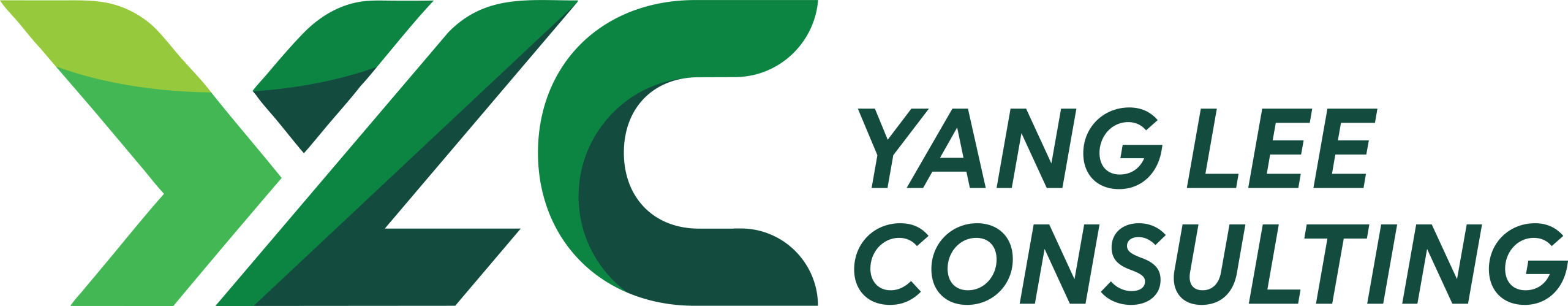 Yang Lee Consulting